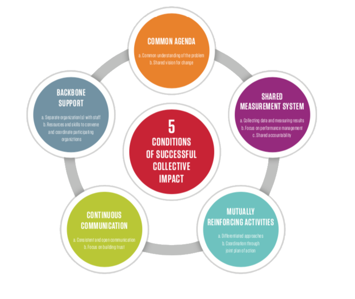 5 conditions of successful collective impact